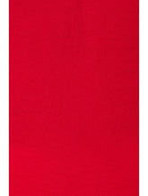 RED SLIP DRESS SLEEVELESS